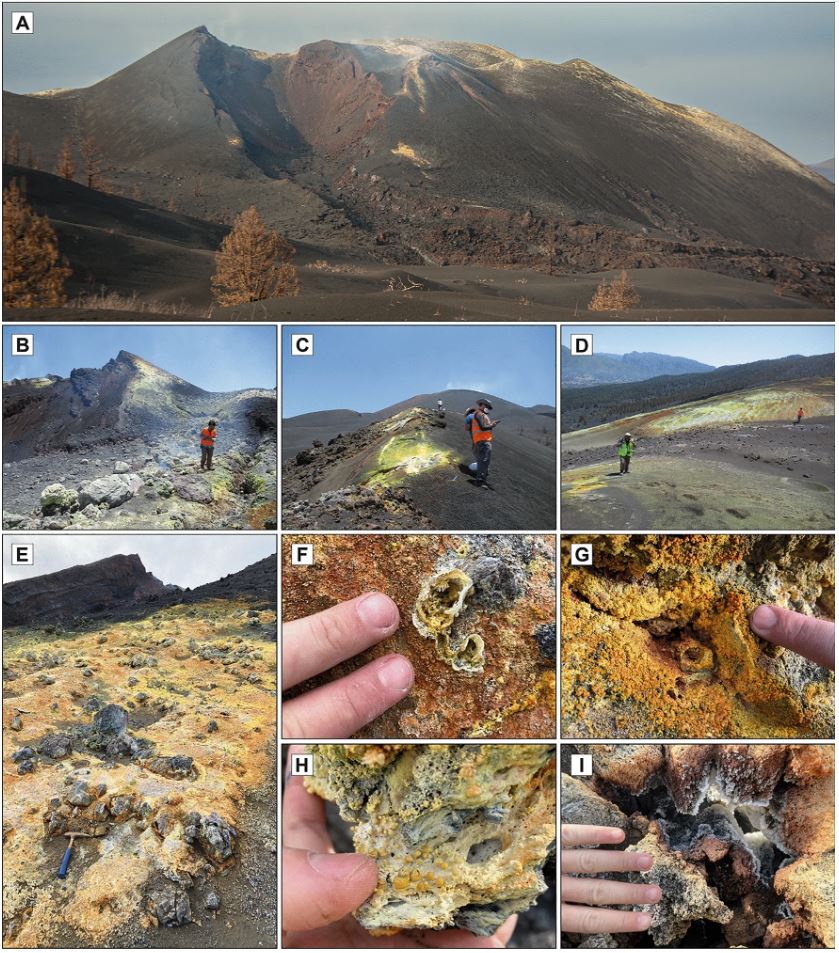 The ephemeral fumarolic mineralization of the 2021 Tajogaite volcanic eruption (La Palma, Canary Islands, Spain)